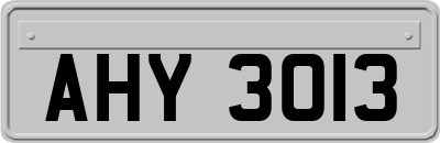 AHY3013