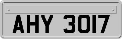 AHY3017