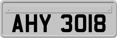 AHY3018