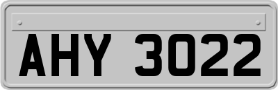 AHY3022
