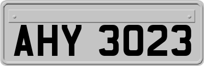 AHY3023