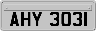 AHY3031