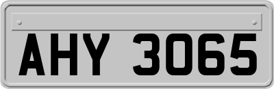 AHY3065