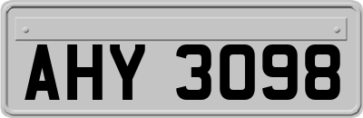 AHY3098