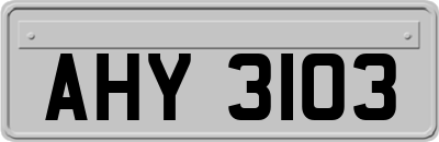 AHY3103