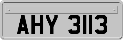 AHY3113