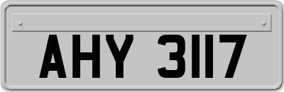 AHY3117