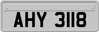 AHY3118
