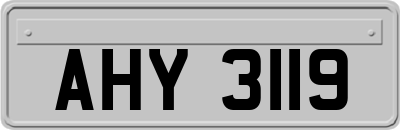 AHY3119