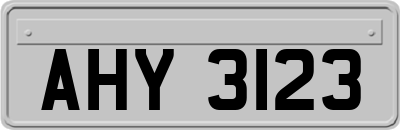 AHY3123