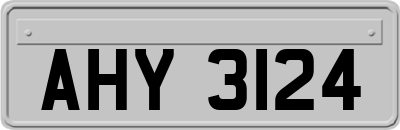 AHY3124