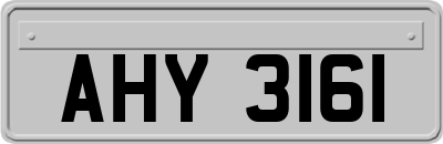 AHY3161