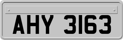 AHY3163