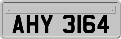 AHY3164