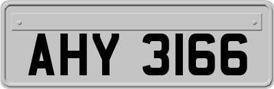 AHY3166