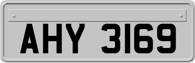 AHY3169