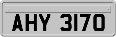 AHY3170