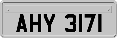 AHY3171