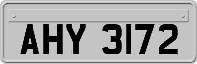 AHY3172