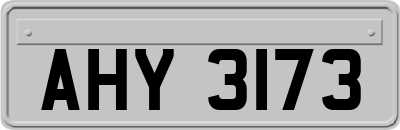 AHY3173