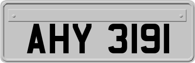 AHY3191