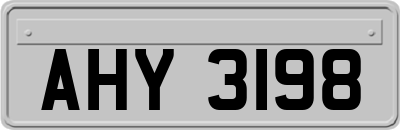 AHY3198