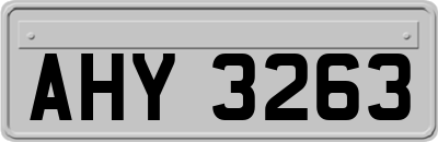 AHY3263