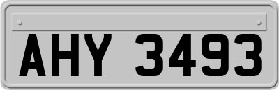 AHY3493
