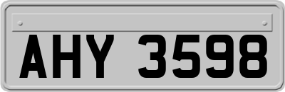 AHY3598