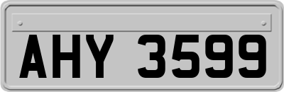 AHY3599