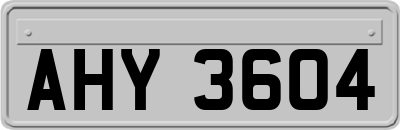 AHY3604