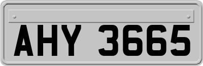 AHY3665