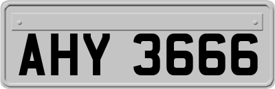 AHY3666