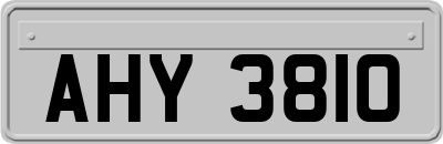 AHY3810