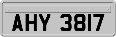 AHY3817