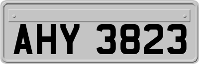 AHY3823