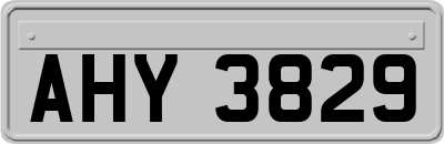 AHY3829