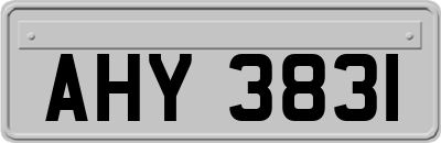 AHY3831