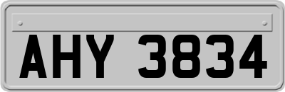 AHY3834