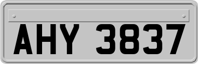 AHY3837
