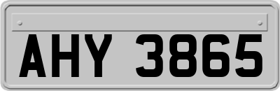 AHY3865