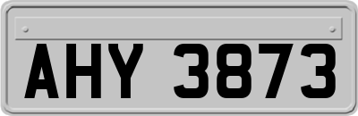AHY3873