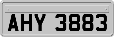 AHY3883