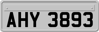 AHY3893