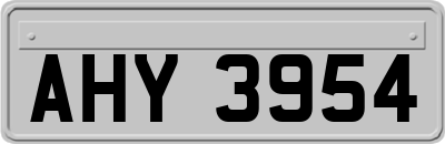 AHY3954