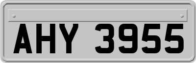 AHY3955