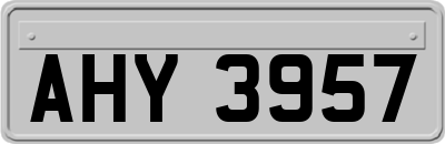 AHY3957