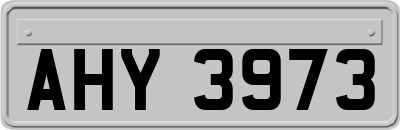 AHY3973