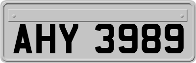 AHY3989