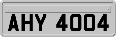 AHY4004